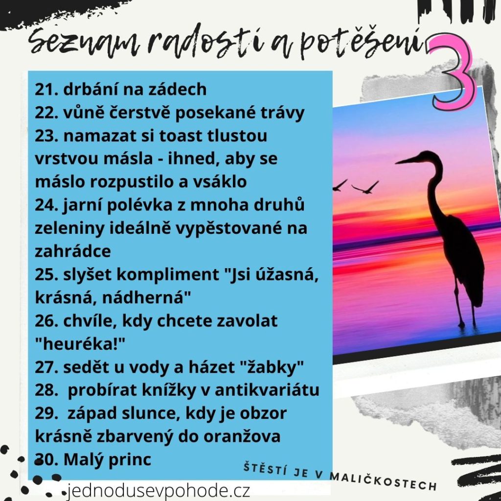 seznam radostí a potěšení 3