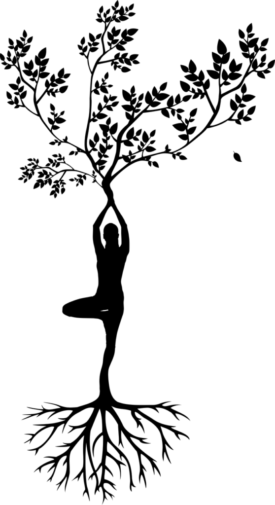 náš růst