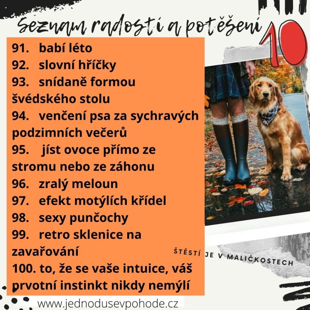 Seznam radostí a potěšení 10