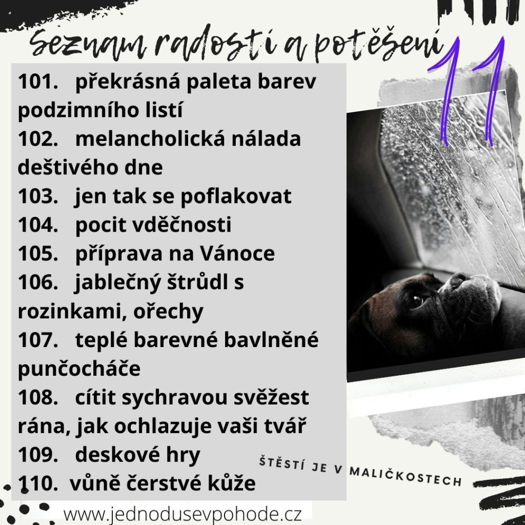 Seznam radostí a potěšení