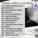 Seznam radostí a potěšení 11
