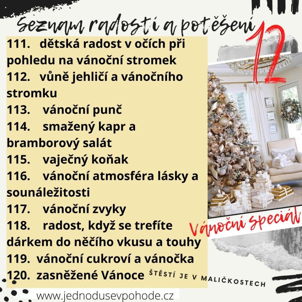 Seznam radostí a potěšení