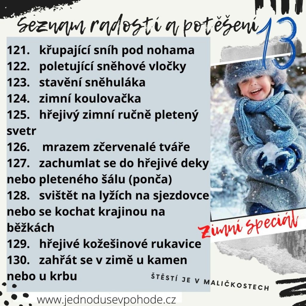 Seznam radostí a potěšení 13