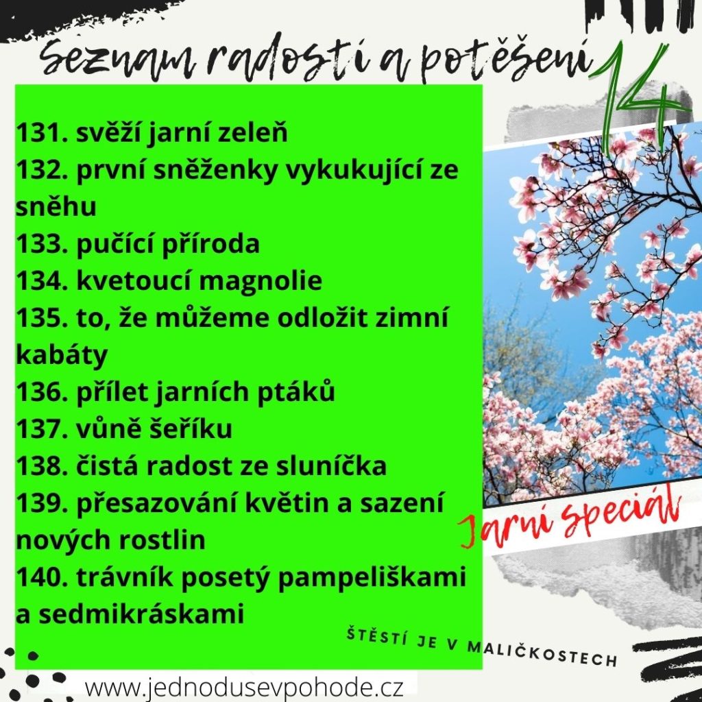 seznam radostí a potěšení +4
